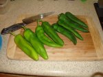 Hatch-Fresh-8-21-20.jpg