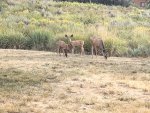 IMG_0421.jpeg