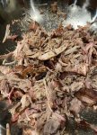 pulled-pork-first-time.jpg