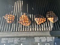 IMG_8912.jpeg