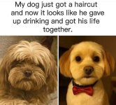 IMG_3316.jpeg