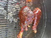 IMG_0552.jpeg