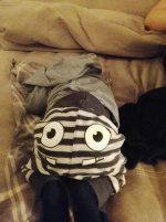 IMG_20251001_200655.jpg
