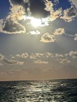 IMG_3445.jpeg