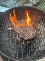 IMG_4533.jpeg