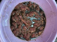 IMG_0651.jpeg