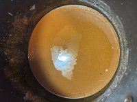 IMG_0720.jpeg