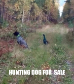 1761090177749.png