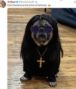 Ozzy.webp