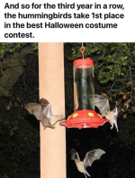 1761228702479.png