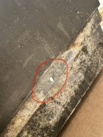 IMG_5418.jpeg IMG_5418.jpeg