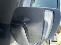 IMG_7419.jpeg IMG_7419.jpeg