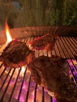 IMG_4238.jpeg IMG_4238.jpeg