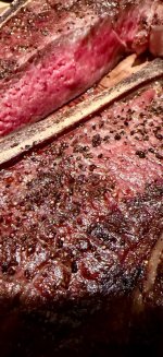 IMG_4244.jpeg IMG_4244.jpeg