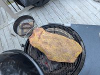 PXL_20251121_121751125.jpg PXL_20251121_121751125.jpg