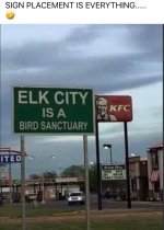 IMG_9440.jpeg IMG_9440.jpeg