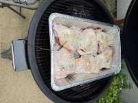 IMG_0284.jpeg IMG_0284.jpeg