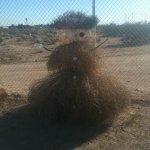 Texas-Snowman__cce454f617.jpg Texas-Snowman__cce454f617.jpg