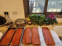 20251206_105134.jpg 20251206_105134.jpg