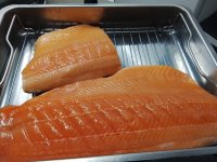 IMG_20251210_194531.jpg IMG_20251210_194531.jpg