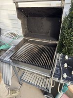 IMG_2486.jpeg IMG_2486.jpeg