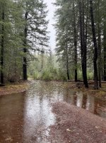 Richard's Creek.jpeg