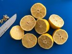 lemonadeGrilled1.jpg lemonadeGrilled1.jpg