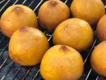 lemonadeGrilled5.jpg lemonadeGrilled5.jpg