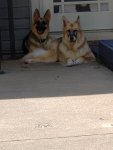 20200807_163318.jpg