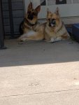 20200807_163305.jpg