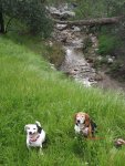IMG_20190321_143804.jpg