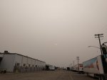 IMG_20200910_175304476.jpg