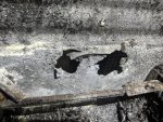 IMG_20200920_200952.jpg