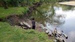 Bauman Park.jpg