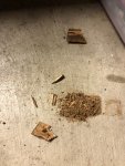 IMG_5887.jpeg