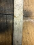 IMG_5939.jpeg
