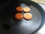IMG_20201001_183909968.jpg