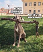 Branch Manager.jpg