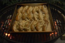 DSC_4649 (Large).JPG