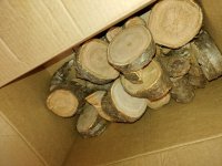 20201117_112722.jpg