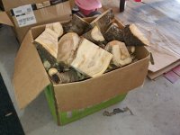 20201117_112713.jpg