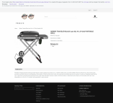 screencapture-webcache-googleusercontent-search-2020-11-17-22_08_47.png