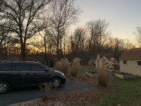IMG_5904.jpeg