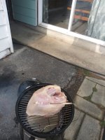 IMG_20201126_234738.jpg IMG_20201126_234738.jpg