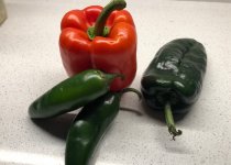 peppers.jpg peppers.jpg