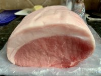 IMG_7465.jpeg