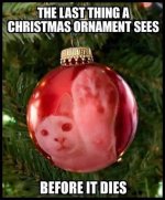 kitty-ornament-meme.jpg