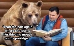 bear-goldilocks-meme.jpg