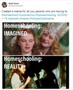 homeschooling-meme.jpg