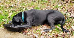 20201220_143803.jpg 20201220_143803.jpg